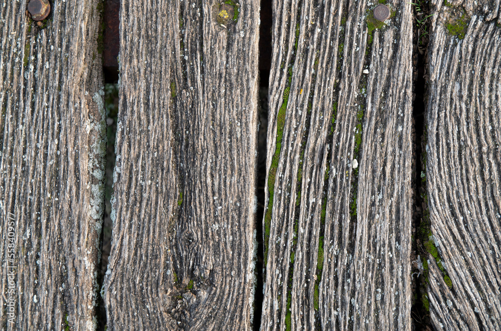 Old wooden floor of cracked boards with moss Old wooden floor of cracked boards with moss