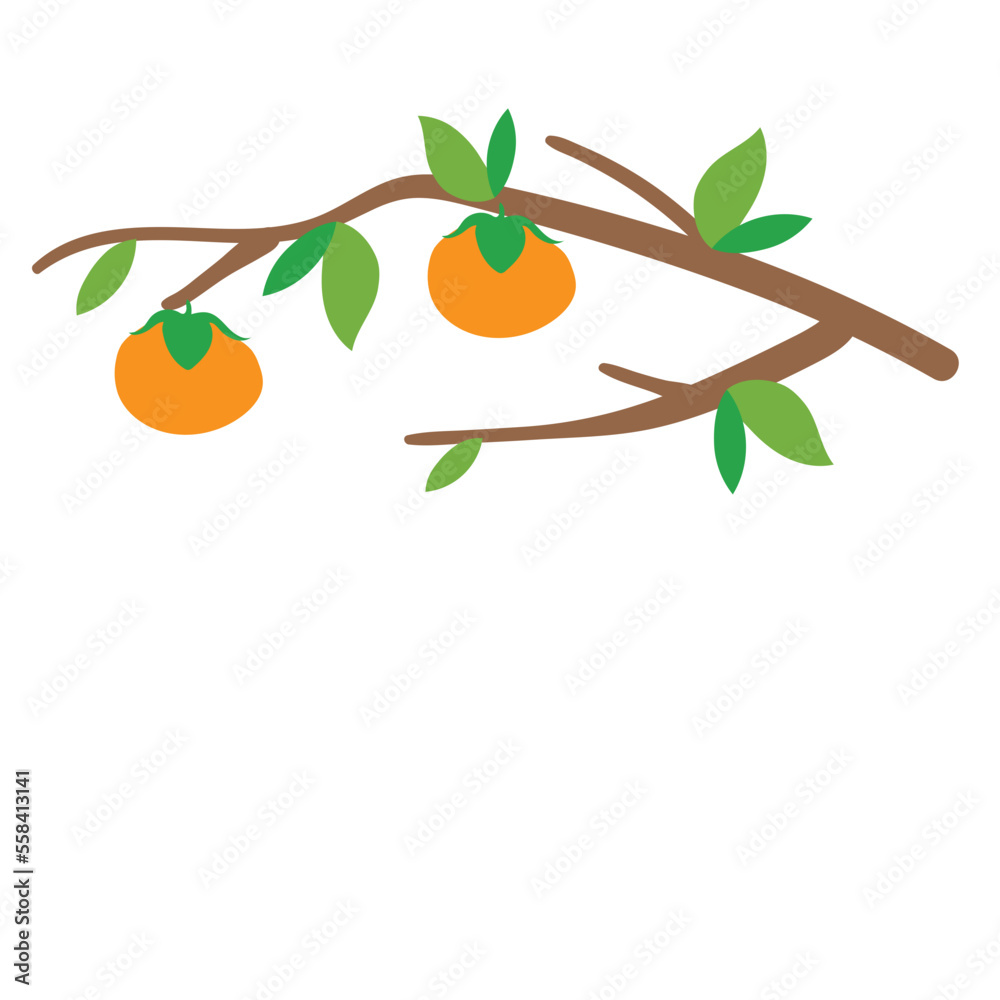 tree branch twigs orange fruit with leaves