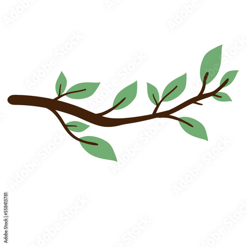 tree branch twigs with leaves