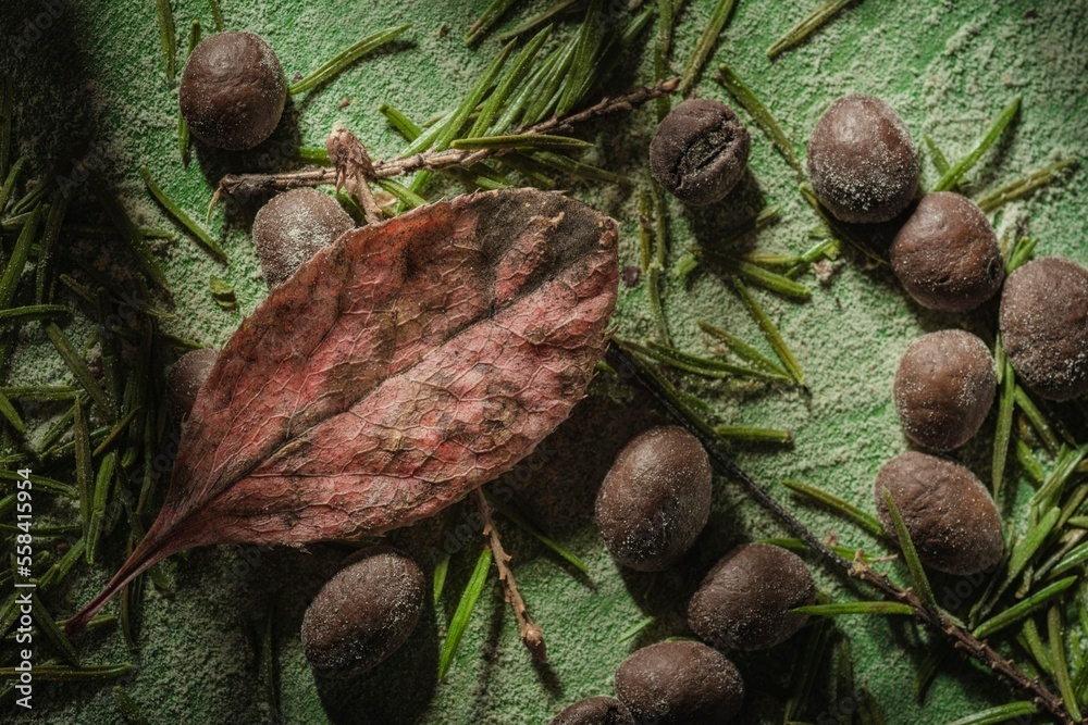 Still life on the kitchen table. Brown roasted beans on a dark green background Still life on the kitchen table. Brown roasted beans on a dark green background