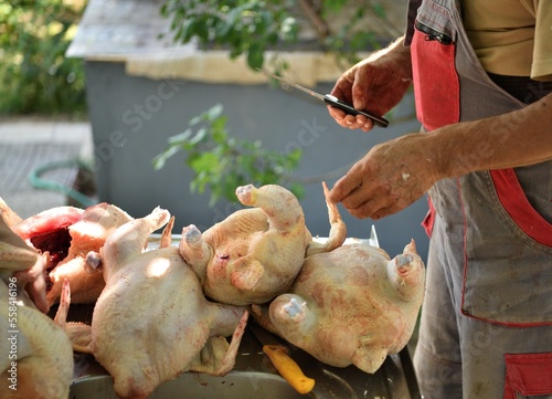 The butcher dissects the chicken from the entrails with a knife