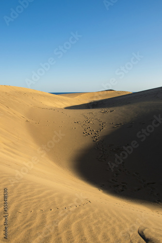 travel destination  sand dunes at maspalomas Gran Canaria island  low perspective dunes. Blue sky background. Scenic landscapes wild nature. 