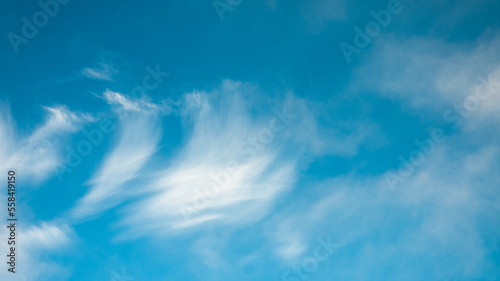 blue sky and clouds  in the photo white feather clouds on a blue background