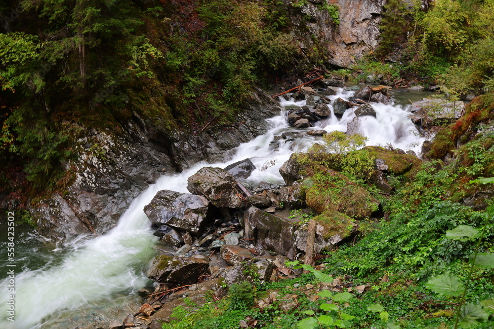 The gorges of Fier are very narrow and deep gorges in Haute-Savoie just next to Annecy The gorges of Fier are very narrow and deep gorges in Haute-Savoie just next to Annecy