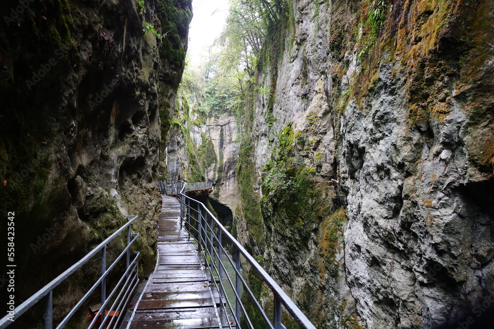 The gorges of Fier are very narrow and deep gorges in Haute-Savoie just next to Annecy The gorges of Fier are very narrow and deep gorges in Haute-Savoie just next to Annecy