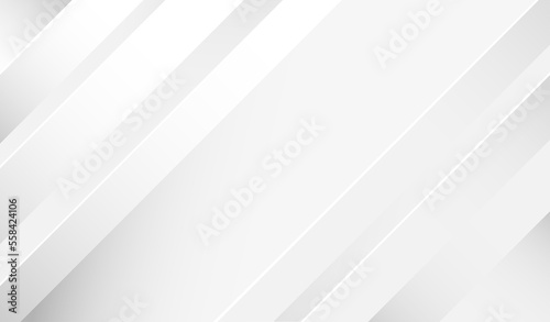 abstract white line geometry and gray shadow on white background illustration vector.