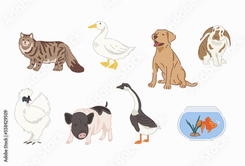 Pets vector in flat design