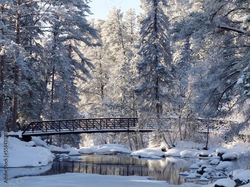 landscape with a bridge