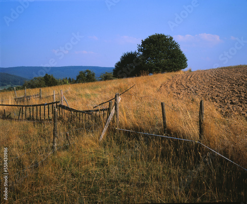 Zaun im Odenwald