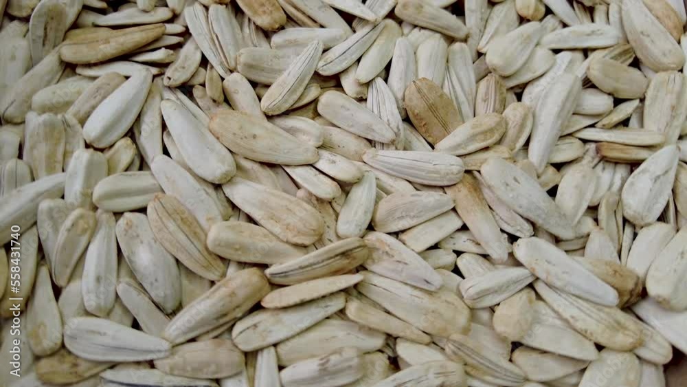 Sunflower seeds slow motion rotate in a circle Sunflower seeds slow motion rotate in a circle