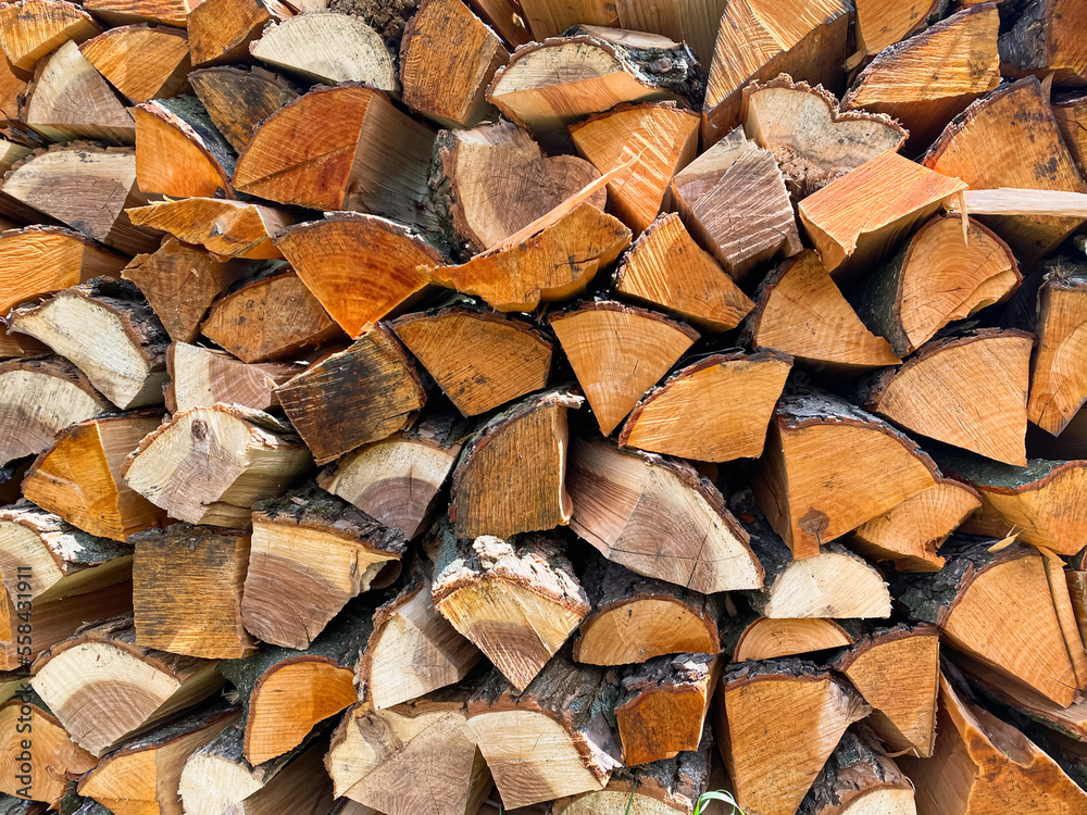 Fototapeta premium Firewood background. Wood wall in the village