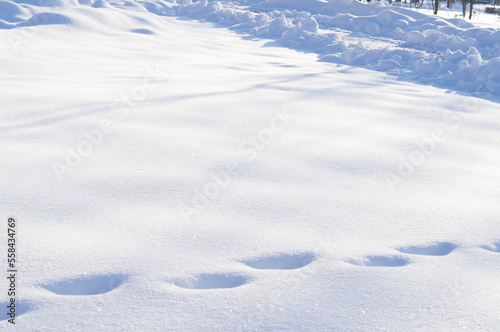 Natural background. Footprints in the snow on a bright frosty day © dzmitry_2014