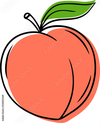 Illustration of a ripe peach in a contour style.