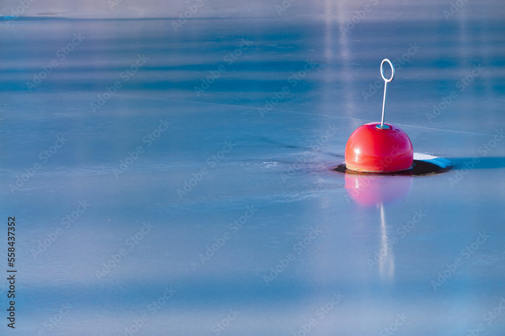 red buoy floating in the water red buoy floating in the water
