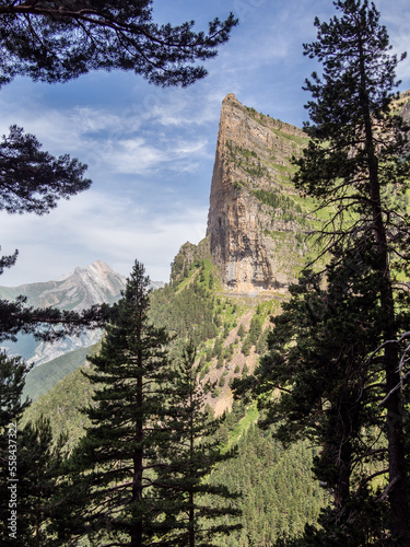 Paisaje alpino con pinos en primer plano y montañas de fondo con un cielo azul con nubes blancas
