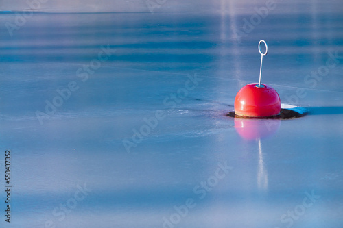 red buoy floating in the water