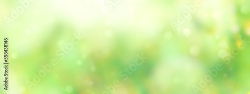 Spring background - abstract banner - green blurred bokeh lights - panorama, header 