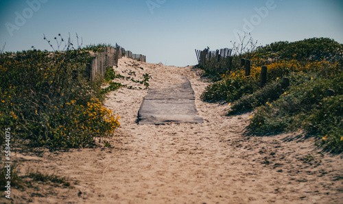 Beach walkway