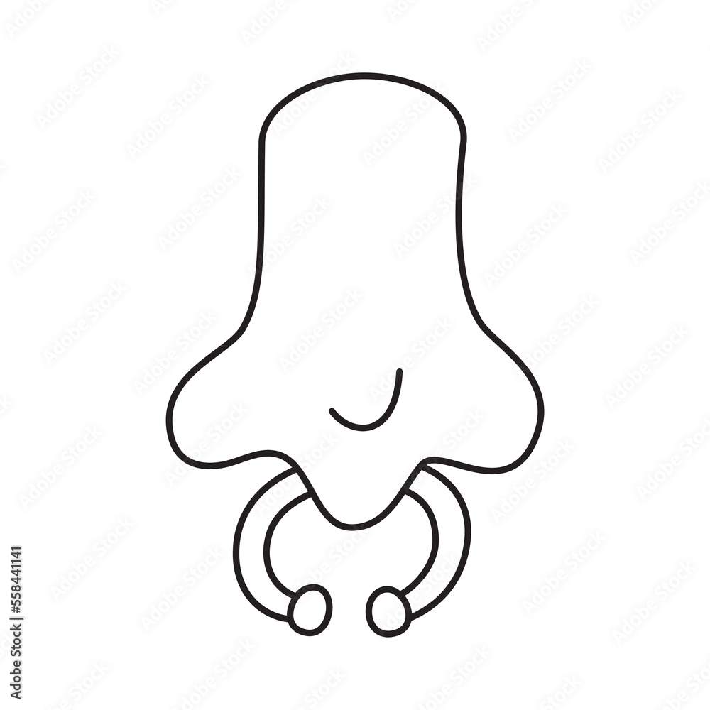 Vector illustration of nose with piercings. Thin line icon for design, cover etc.