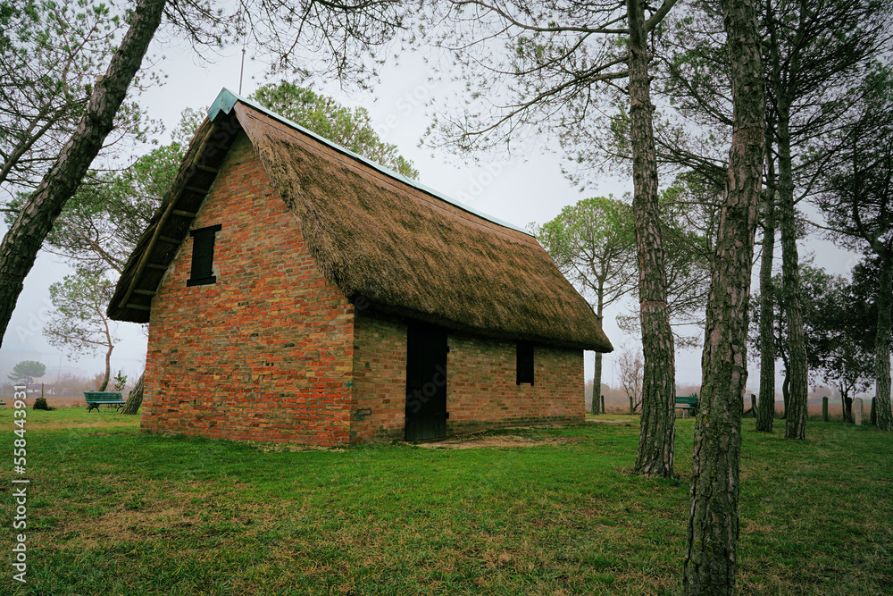 Fototapeta premium Old house typical of Romagna's region