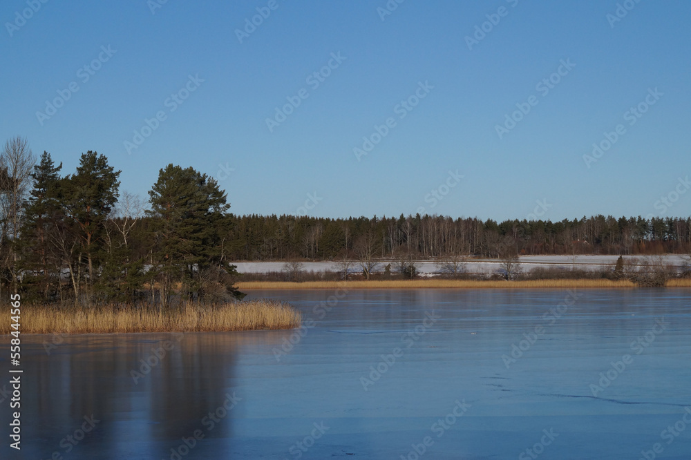 lake in the forest lake in the forest