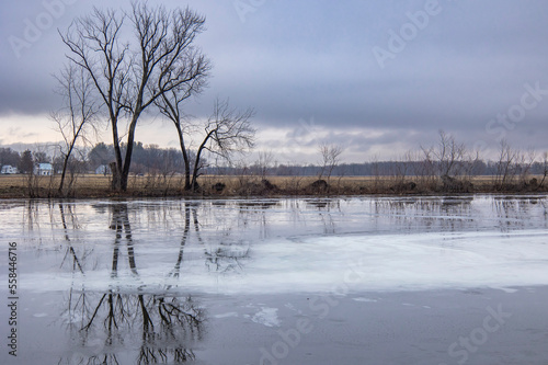 Along a frozen river with melt water  bare trees  and farm fields on a stormy winter day.