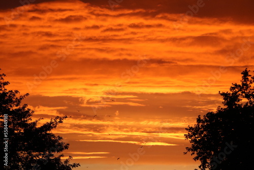 Romantic sunset in Bath Somerset  England Great Britain