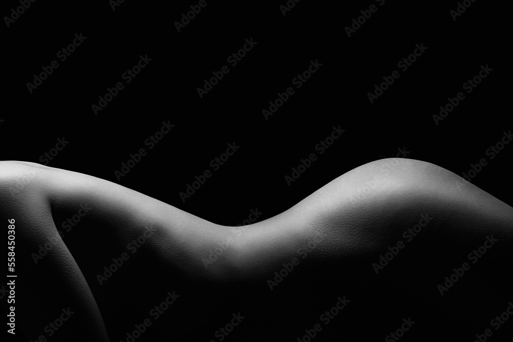 Beautiful Sexy Naked Body Girl. Black and white Silhouette