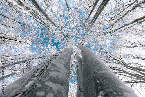 Bottom up view of frost cov...
