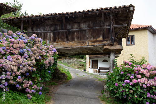 Fototapeta Naklejka Na Ścianę i Meble -  hórreo, granary typical of Asturian and Galician architecture