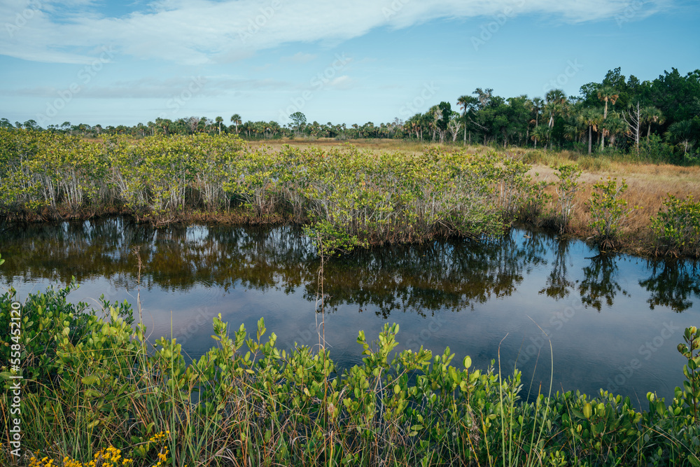 Scenery at the Merritt Island National Wildlife Refuge near Titusville, Florida