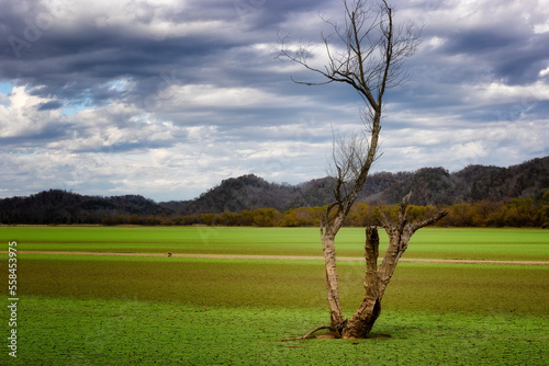 Landscape view in Rankin Bottoms, Newport, Tennessee, USA photo