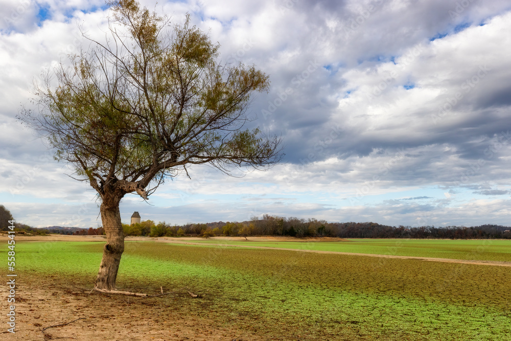 Fototapeta premium Rankin Bottoms Wildlife Refuge along the Nolichucky and French Broad Rivers in TN.