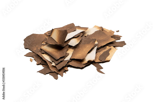 Burnt paper isolated on a white background.