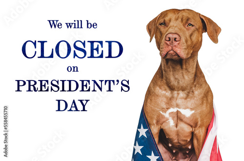 Sign that says We will be closed on President's Day. Lovable, charming puppy with the American Flag. Studio shot. Signboard layout for you store. Closeup, no people