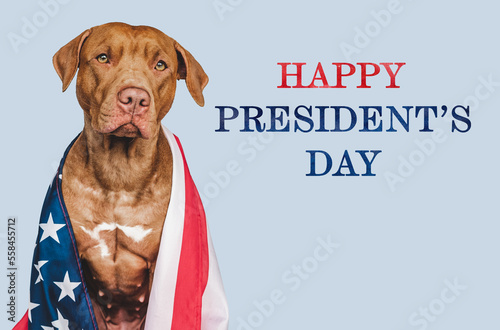 Lovable, charming puppy, American Flag and Happy Presidents' Day lettering. Closeup, indoors. Studio shot. Congratulations for family, loved ones, relatives, friends and colleagues. Pet care concept