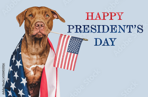 Lovable, charming puppy, American Flag and Happy Presidents' Day lettering. Closeup, indoors. Studio shot. Congratulations for family, loved ones, relatives, friends and colleagues. Pet care concept