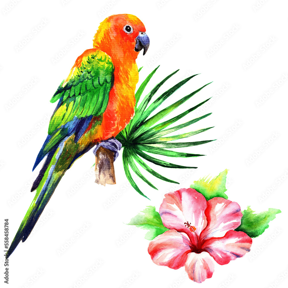 Obraz premium Watercolor parrots and tropical leaves isolated on white background.