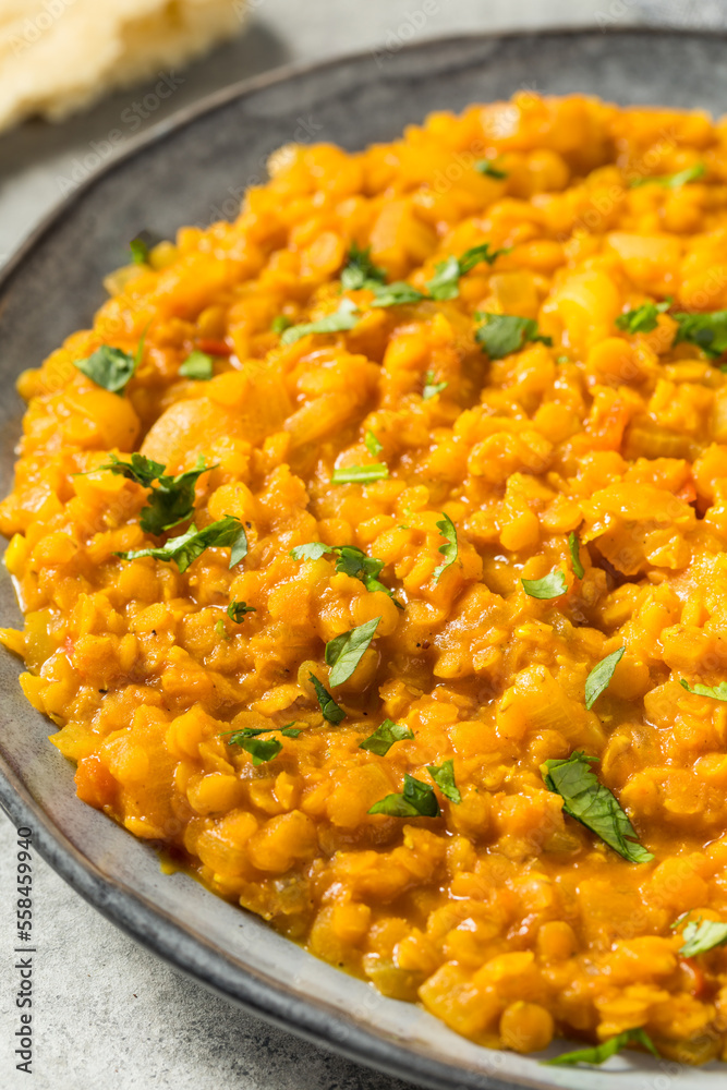 Homemade Lentil Dal with Rice Homemade Lentil Dal with Rice