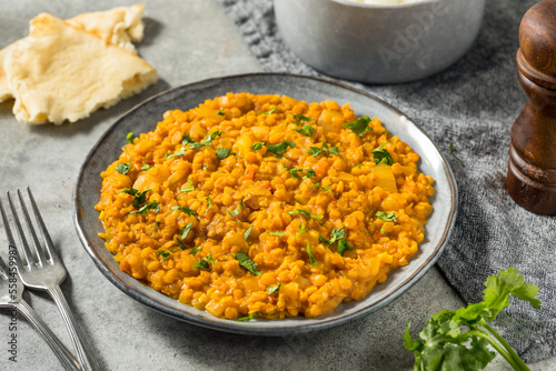 Homemade Lentil Dal with Rice