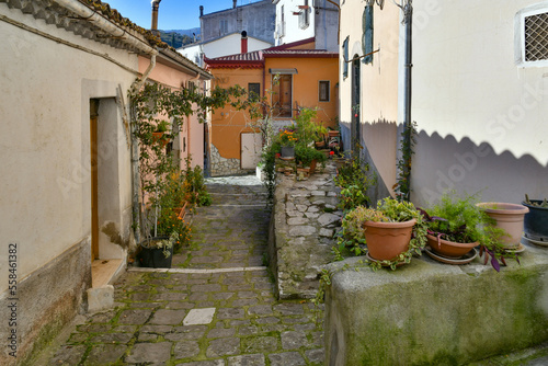 Fototapeta Naklejka Na Ścianę i Meble -  A narrow street among the old houses of Rapolla, a village in the province of Potenza in Italy.