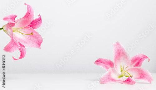 Pink lily flowers background with copy space for product presentation, greeting, invitation and brand template. Flower frame, banner size