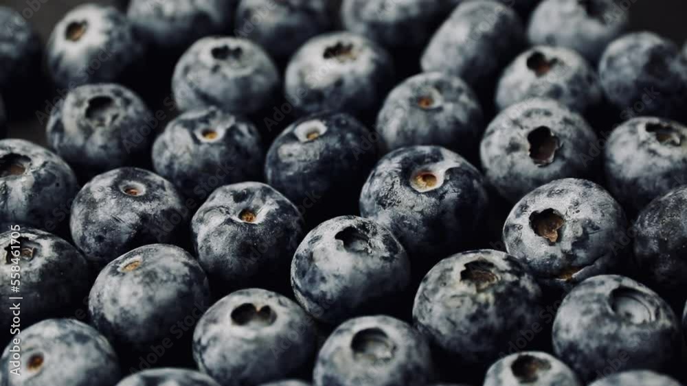 blueberries in a bowl blueberries in a bowl