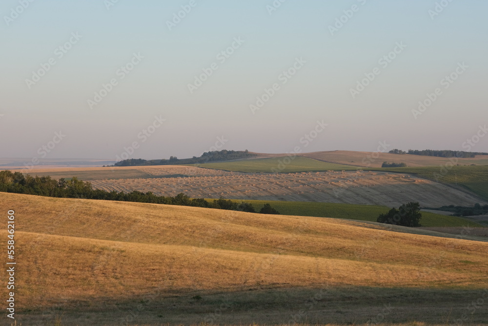 Agricultural fields in Bashkiria 2022
