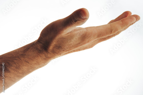 Wallpaper Mural Male hand shows open palm. Isolated on white background. Torontodigital.ca