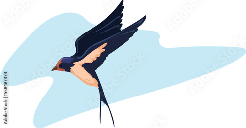 Flying bird in blue sky. Free wild swallow