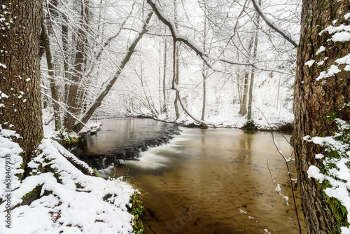 Rezerwat nad Tanwią w Puszczy Solskiej na Roztoczu w Województwie Lubelskim Polska