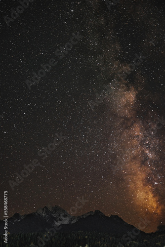 night starry sky  milky way. view of the natural background of space. astronomy  telescope. study of planets and constellations of galaxy