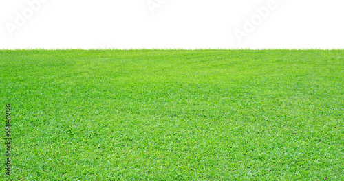 Green grass field on transparent background. PNG file.