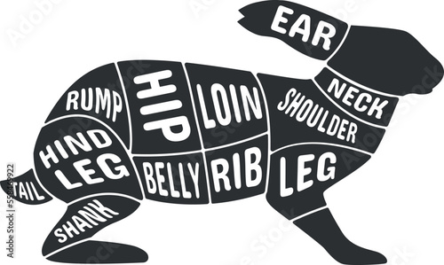 Rabbit black scheme. Butcher cut meat diagram